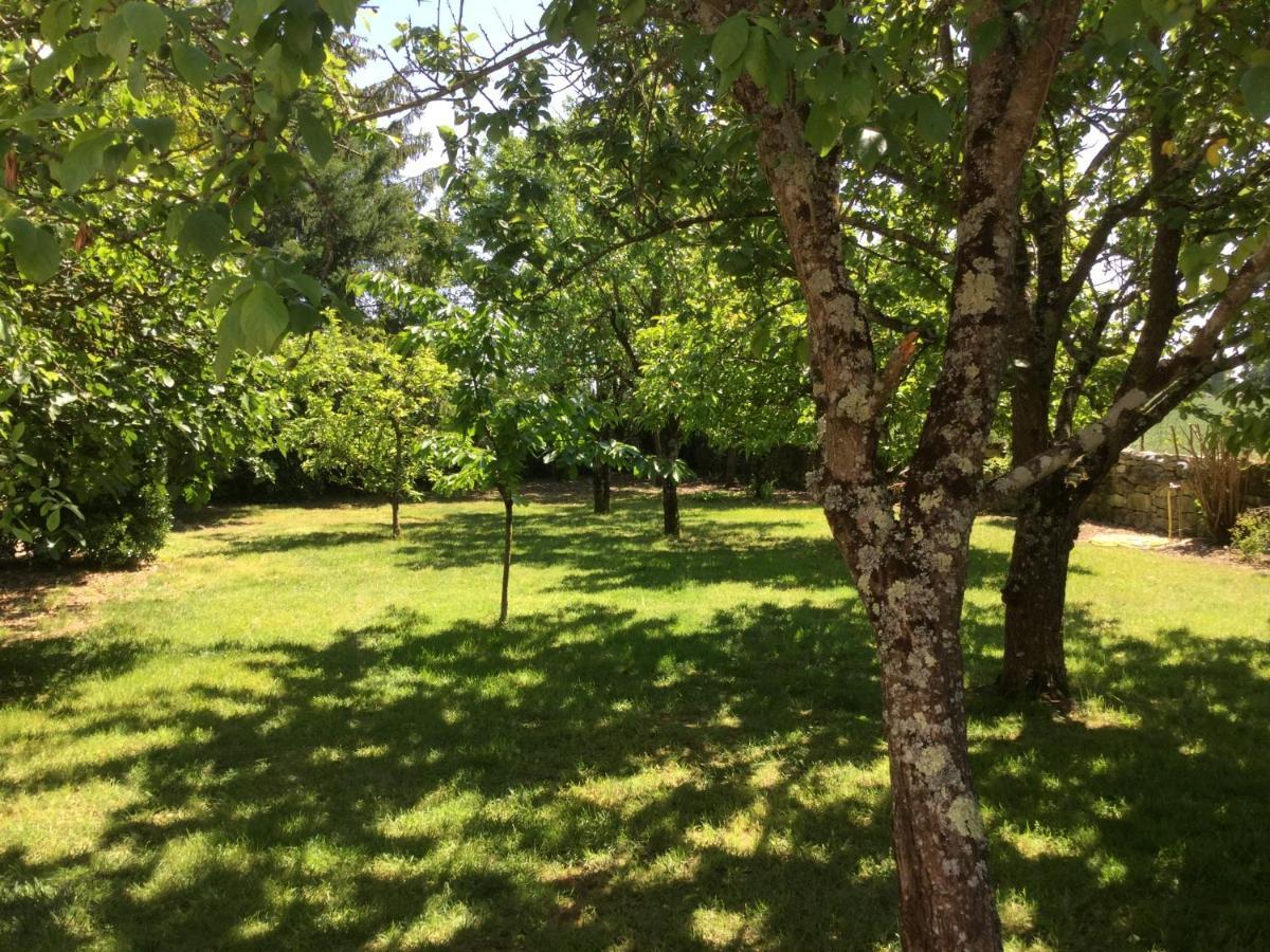 Bed and Breakfast Les Noyers Aulnay Aulnay  Exterior foto